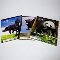 BLOCK CARTA SCRIBE 80 HOJAS ESCOLAR BLANCO