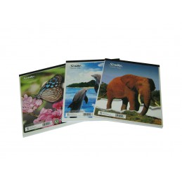 BLOCK CARTA SCRIBE 80 HOJAS ESCOLAR RAYADO