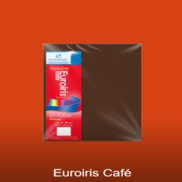 CARTULINA IRIS MATE 50X65CMS CAFE EUROMAC