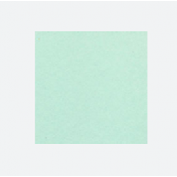 CARTULINA UNIBRISTOL VERDE 50X65 180GRS